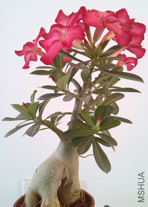 QQ��ͼ20140323222022.jpg