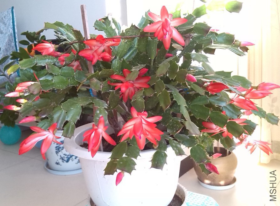 QQ��ͼ20131129150730.jpg