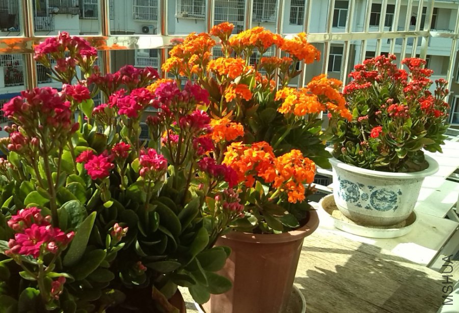 QQ��ͼ20131129150947.jpg