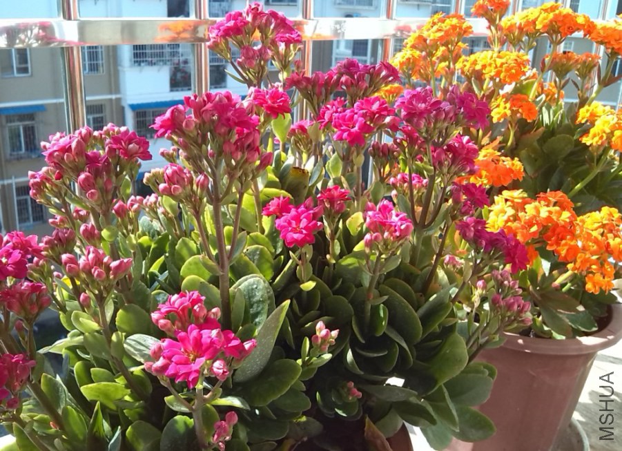 QQ��ͼ20131129151001.jpg