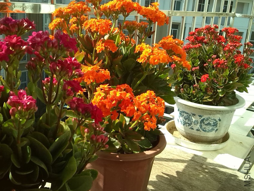 QQ��ͼ20131129151019.jpg