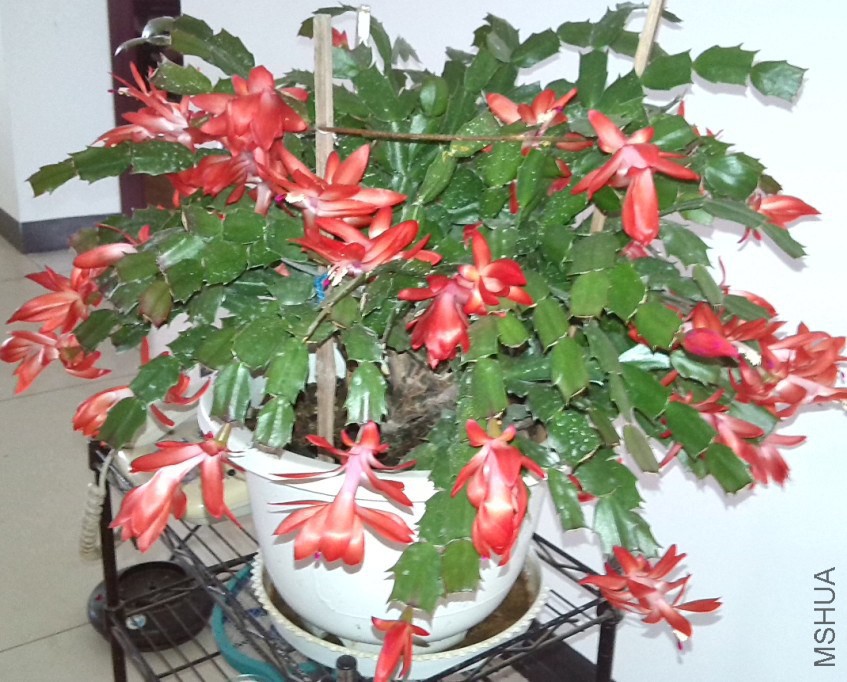 QQ��ͼ20131129151043.jpg