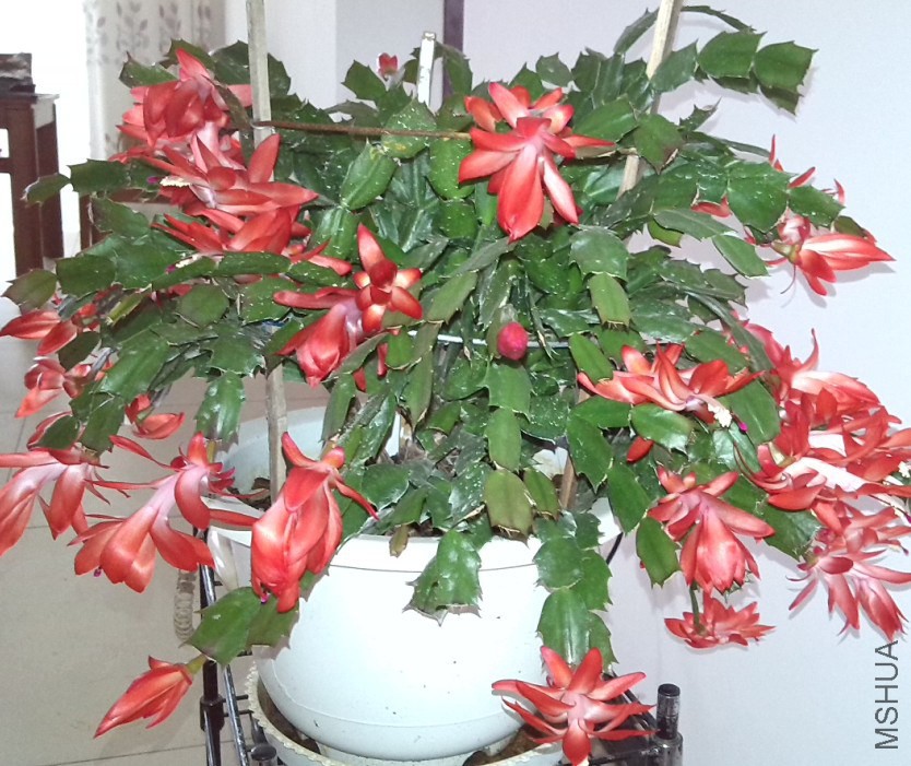 QQ��ͼ20131129151101.jpg