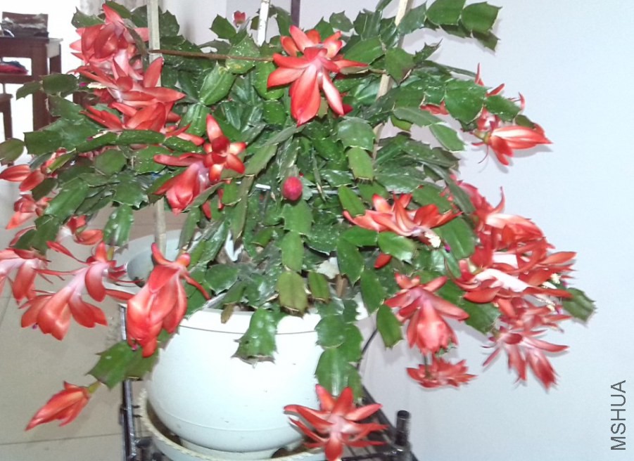 QQ��ͼ20131129151115.jpg