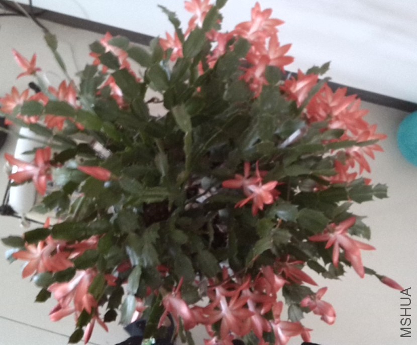QQ��ͼ20131129151135.jpg