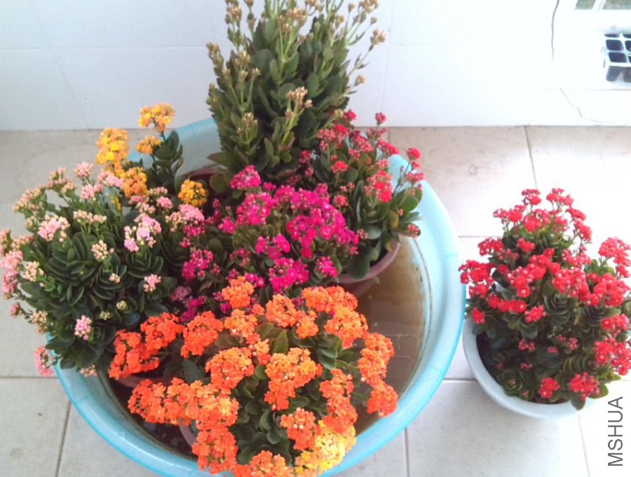 QQ��ͼ20131129151149.jpg