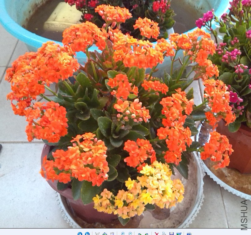 QQ��ͼ20131129151254.jpg