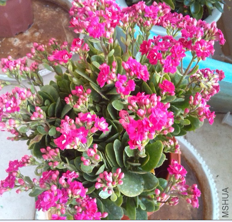 QQ��ͼ20131129151325.jpg