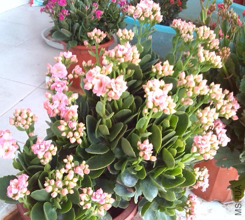 QQ��ͼ20131129151411.jpg