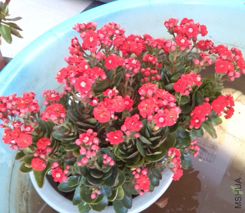 QQ��ͼ20131129151424.jpg