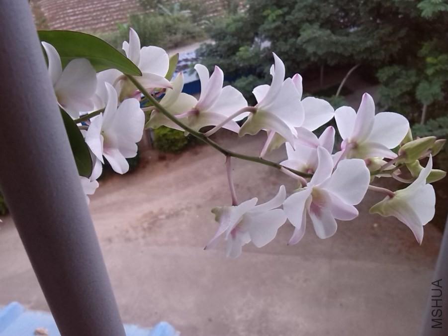 QQ��ͼ20131129151459.jpg