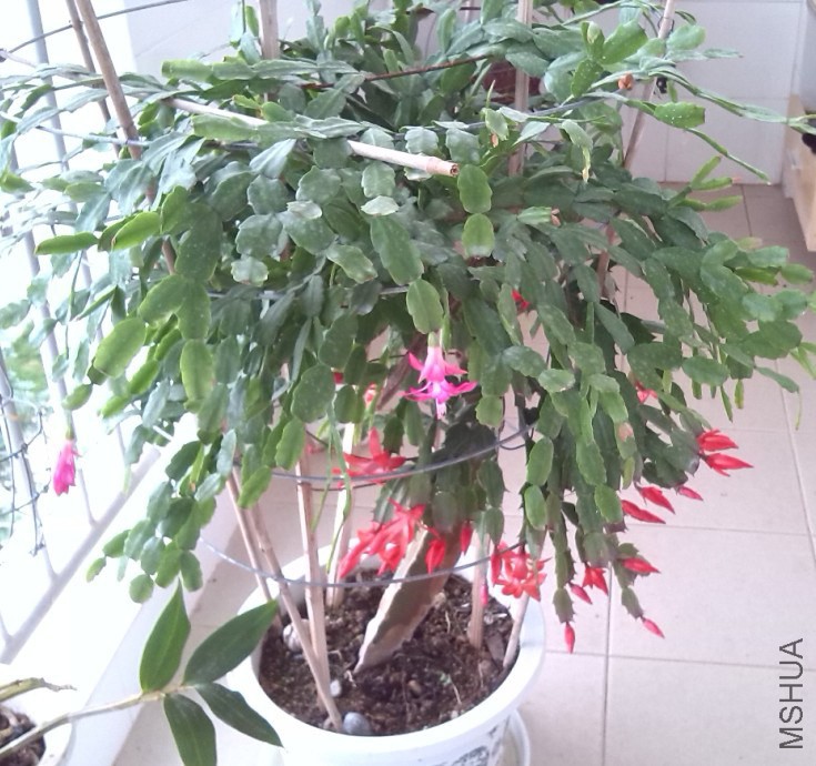 QQ��ͼ20131129151442.jpg
