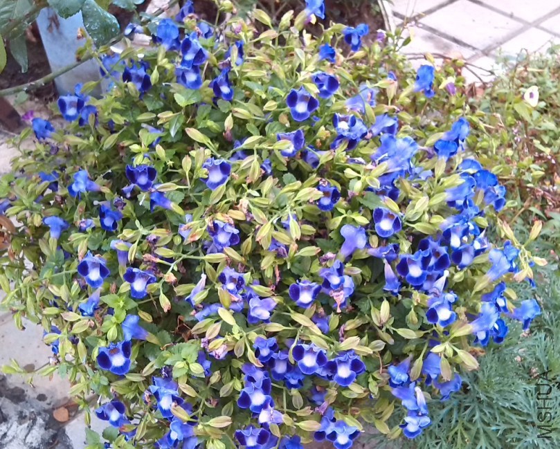 QQ��ͼ20131129151511.jpg