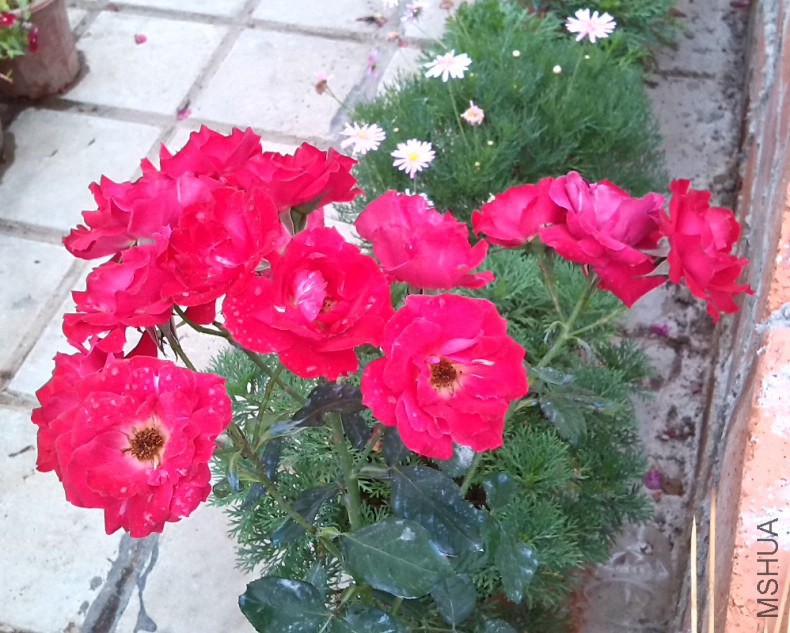 QQ��ͼ20131129151530.jpg
