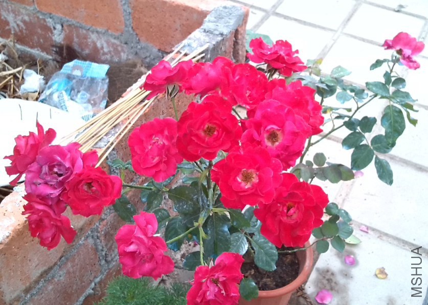 QQ��ͼ20131129151543.jpg