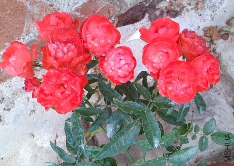 QQ��ͼ20131129151602.jpg