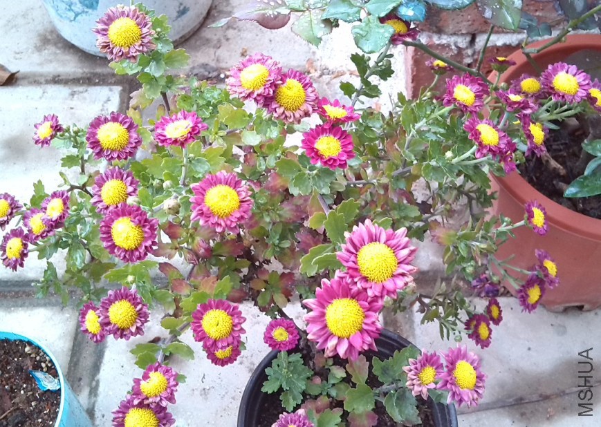 QQ��ͼ20131129151618.jpg