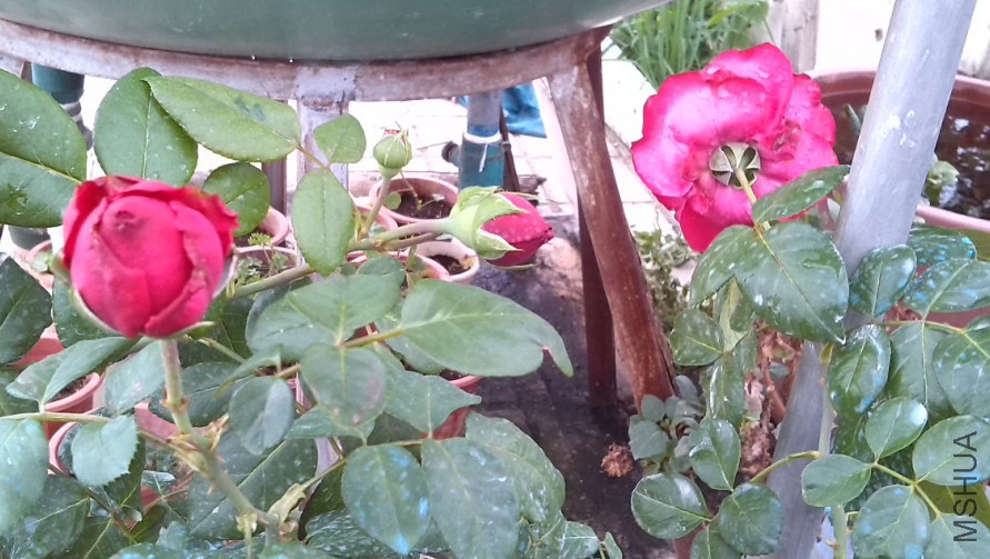 QQ��ͼ20131129151759.jpg