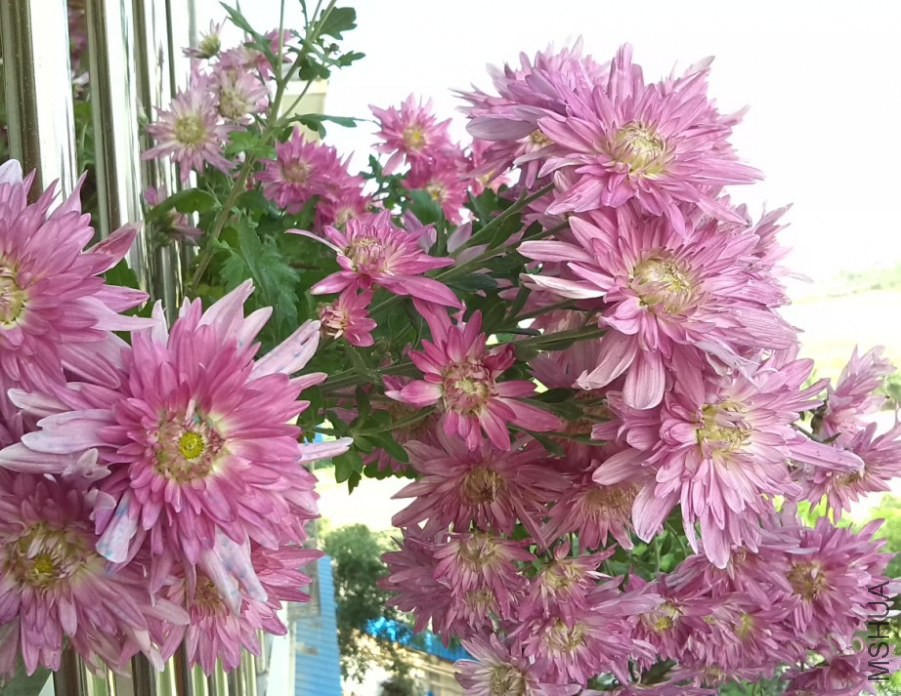 QQ��ͼ20131129151822.jpg