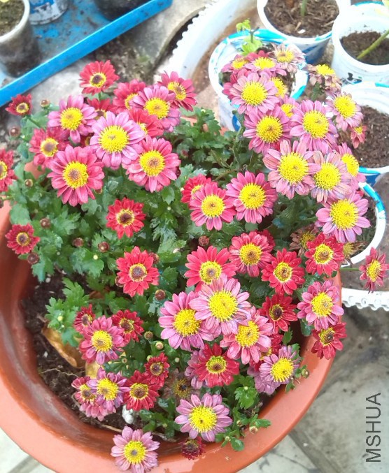 QQ��ͼ20131129151856.jpg