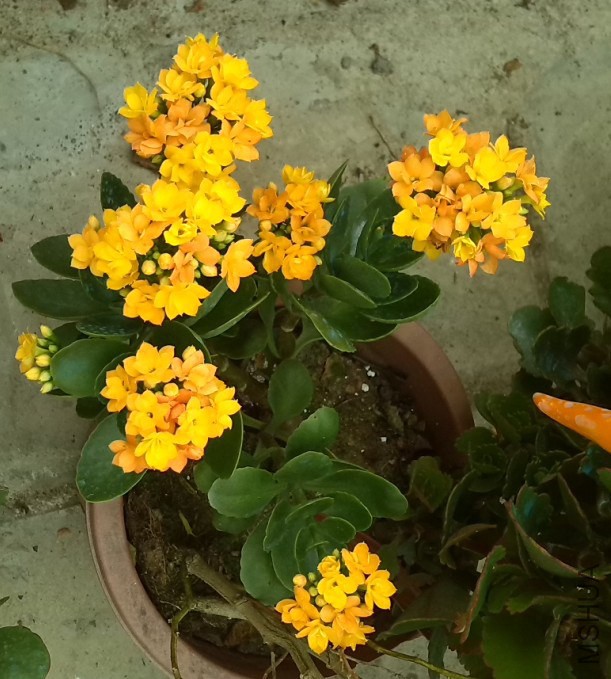 QQ��ͼ20131129151836.jpg