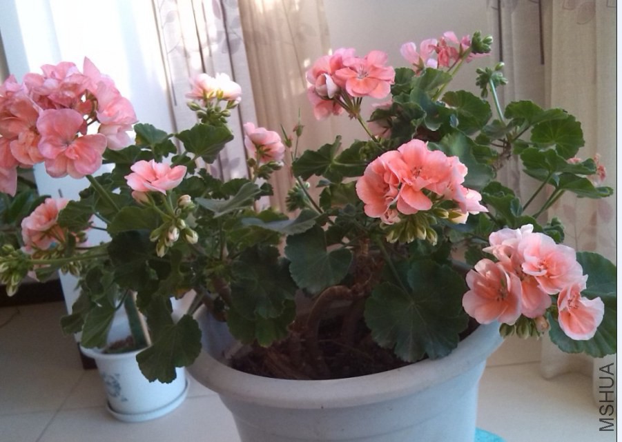QQ��ͼ20131129151938.jpg