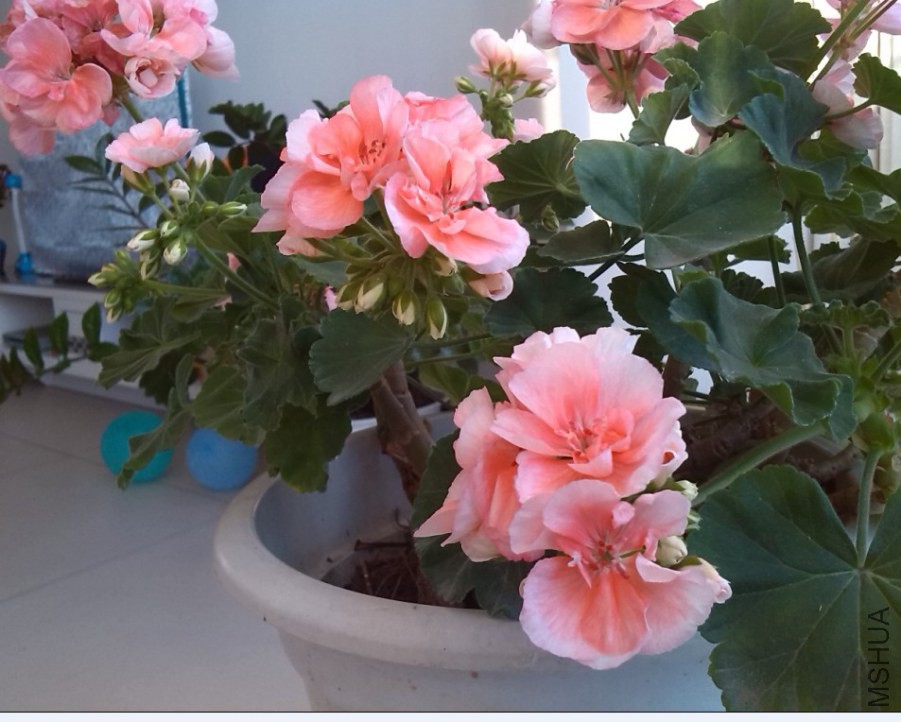 QQ��ͼ20131129151948.jpg