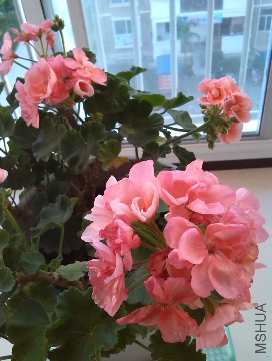 QQ��ͼ20131129152001.jpg