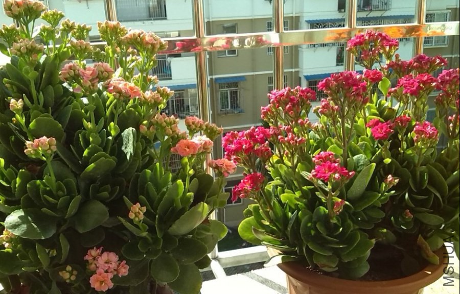QQ��ͼ20131129152407.jpg