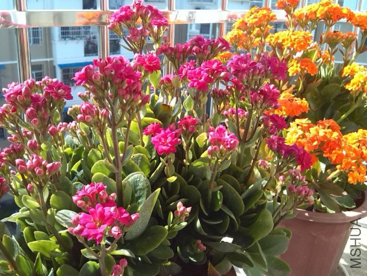 QQ��ͼ20131129153027.jpg
