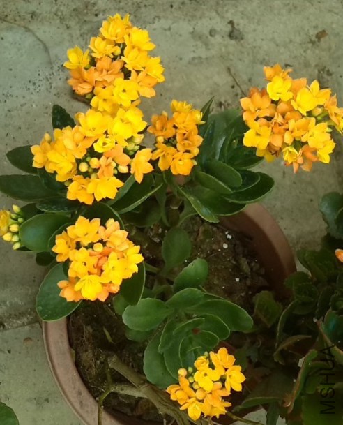 QQ��ͼ20131129153226.jpg