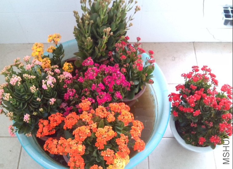 QQ��ͼ20131129153357.jpg