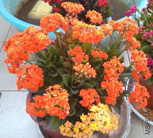 QQ��ͼ20131129153530.jpg