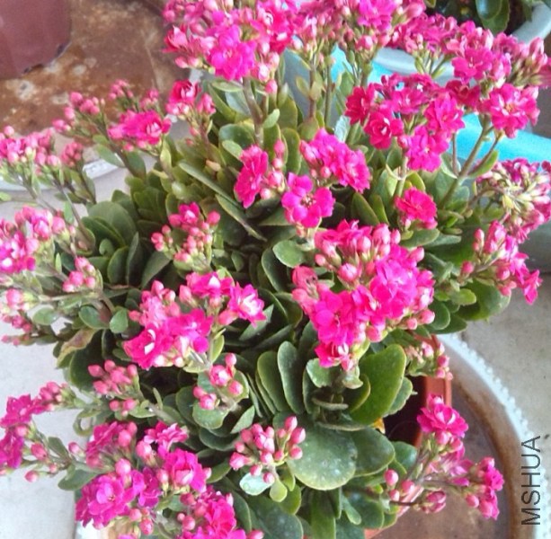 QQ��ͼ20131129153605.jpg