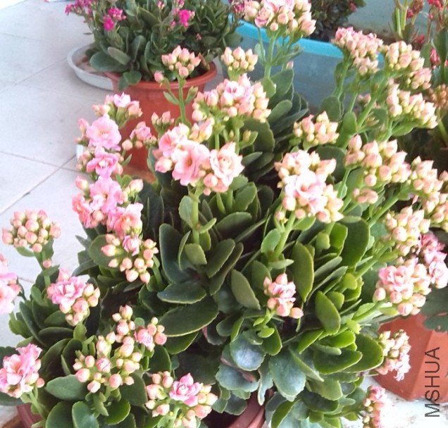 QQ��ͼ20131129153640.jpg