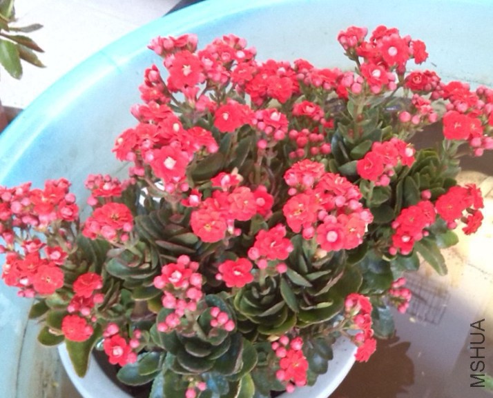QQ��ͼ20131129153706.jpg