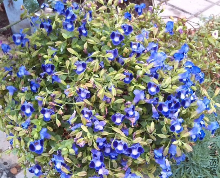 QQ��ͼ20131129153743.jpg
