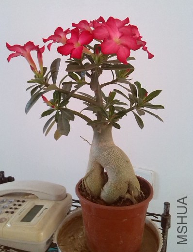 QQ��ͼ20140317212938.jpg