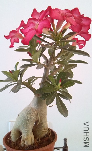 QQ��ͼ20140317212958.jpg