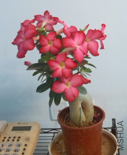 QQ��ͼ20140323221230.jpg