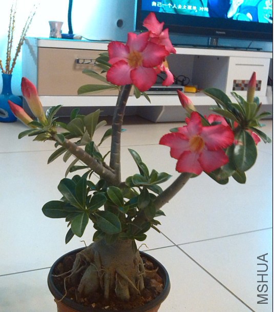 QQ��ͼ20140323221251.jpg