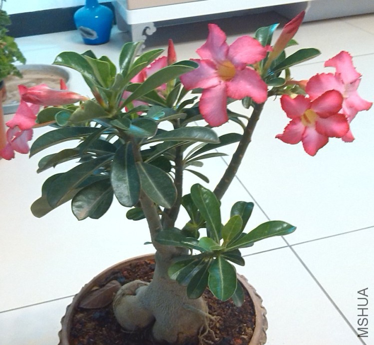 QQ��ͼ20140323221331.jpg