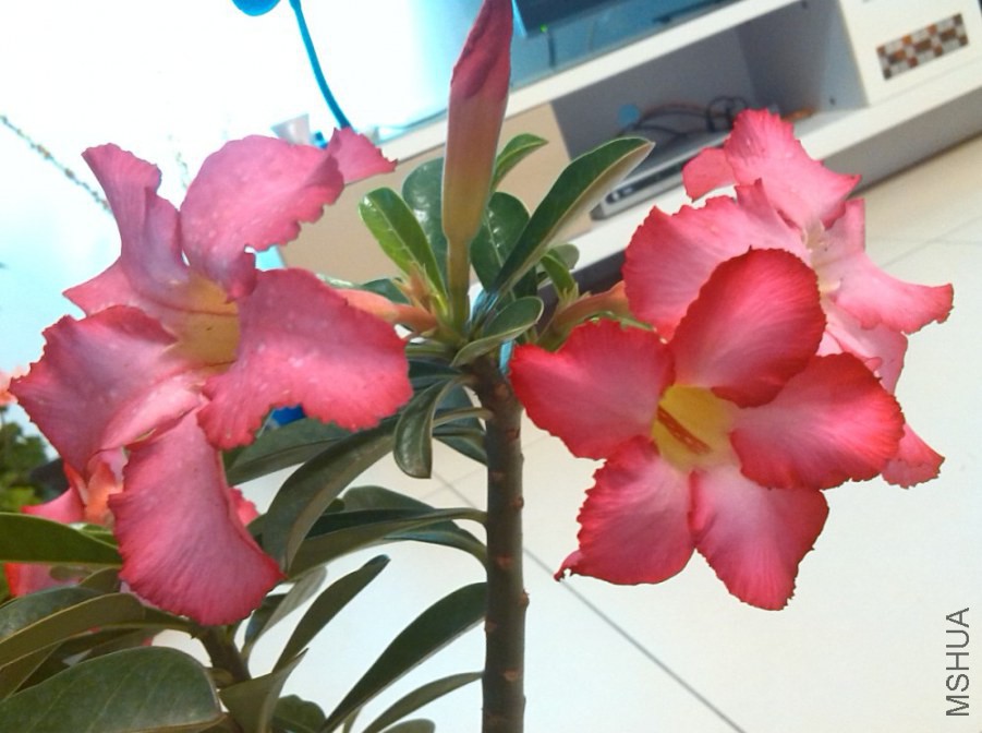 QQ��ͼ20140323221309.jpg