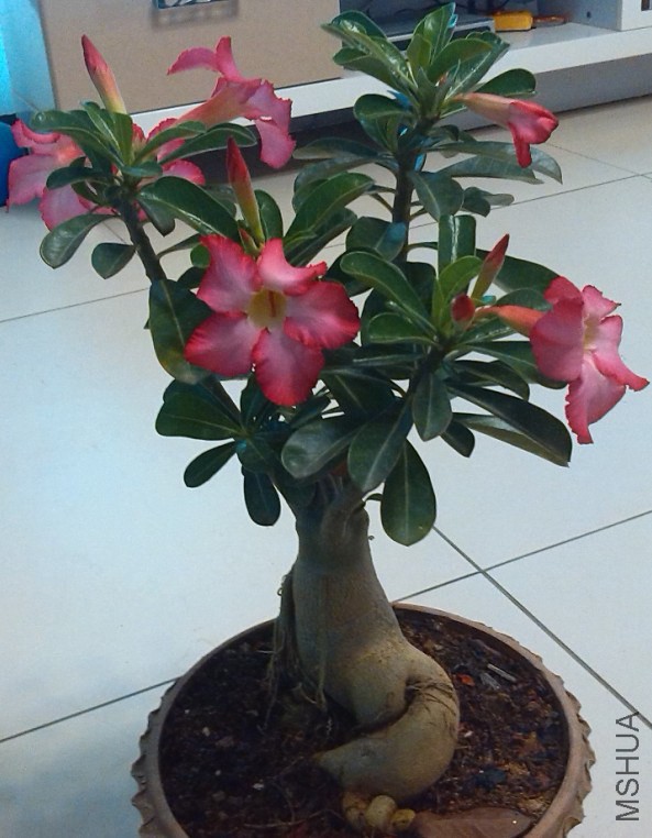QQ��ͼ20140323221346.jpg