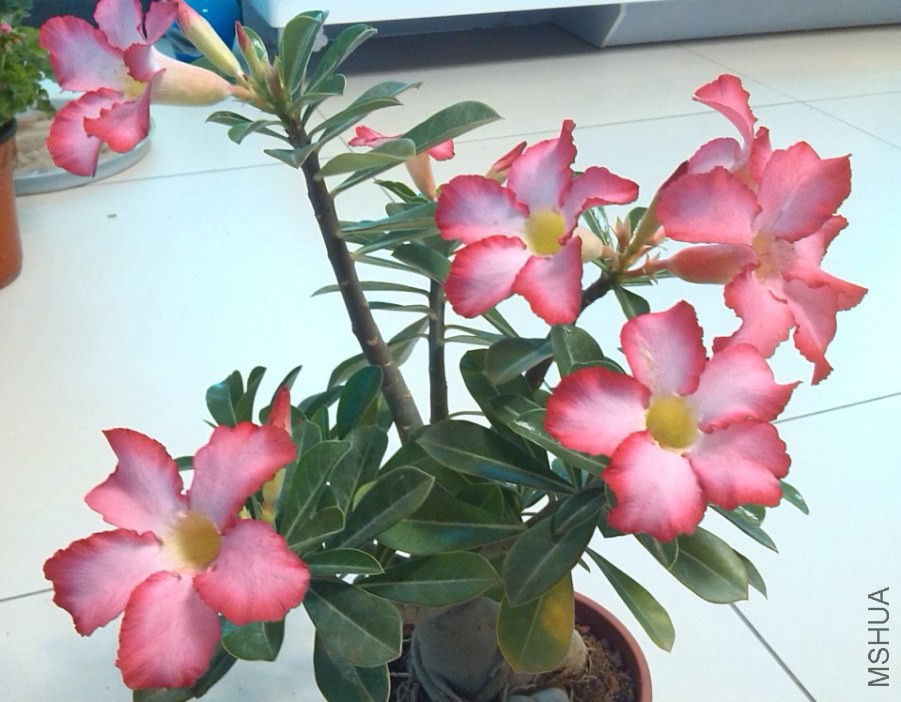 QQ��ͼ20140323221400.jpg
