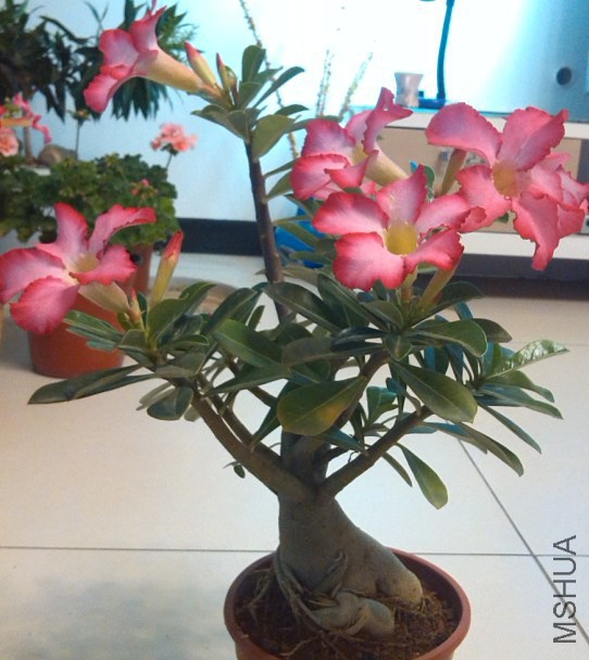 QQ��ͼ20140323221426.jpg