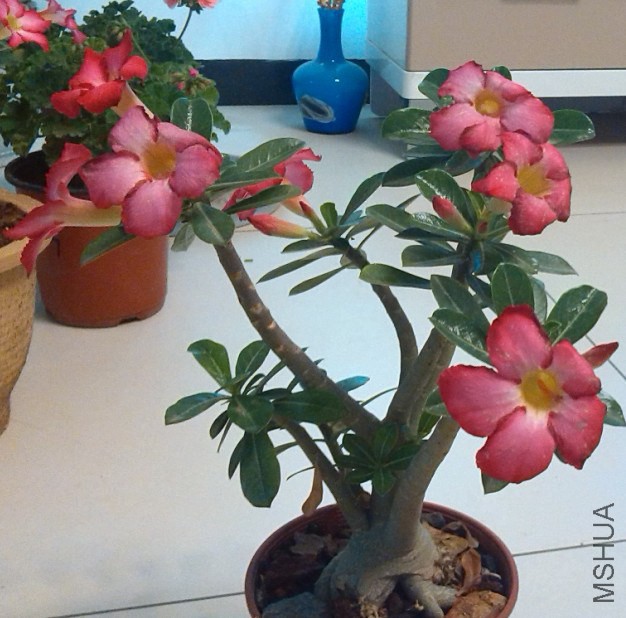 QQ��ͼ20140323221446.jpg