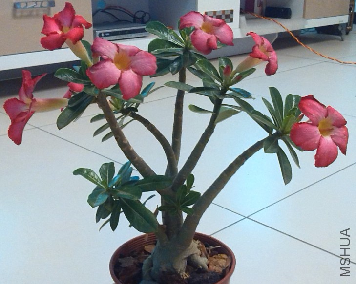 QQ��ͼ20140323221501.jpg