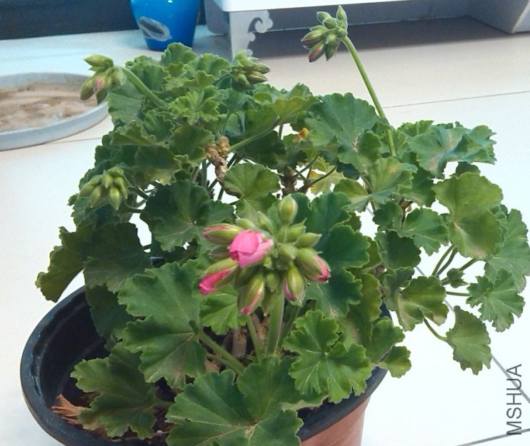 QQ��ͼ20140323221541.jpg