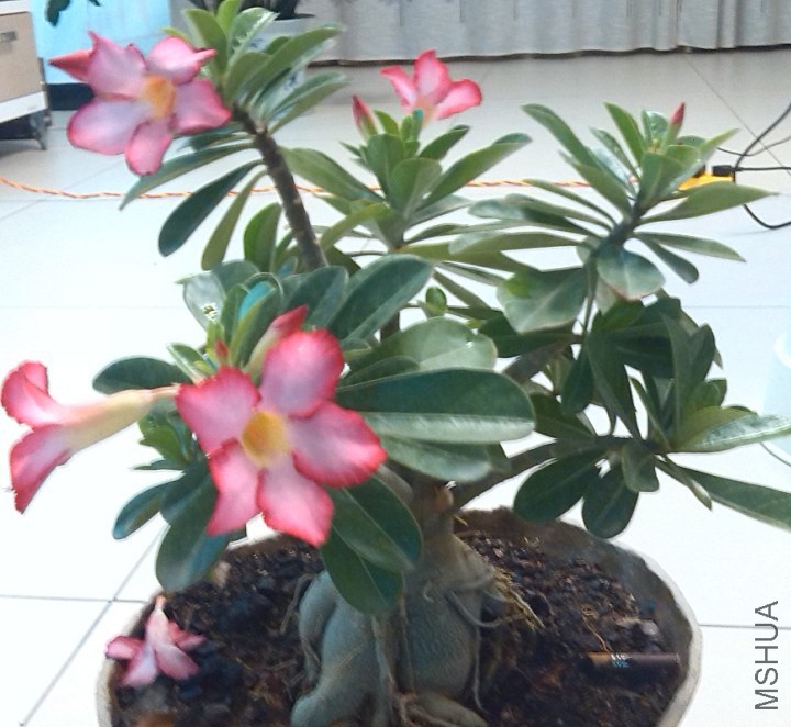 QQ��ͼ20140323221526.jpg